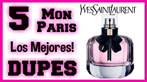 Paris by yves saint laurent dupe 